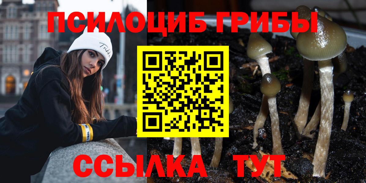 Старая Купавна  Псилоцибиновые грибы мухоморы  закладки  Галлюциногенные грибы мицелий  Вход с VPN 